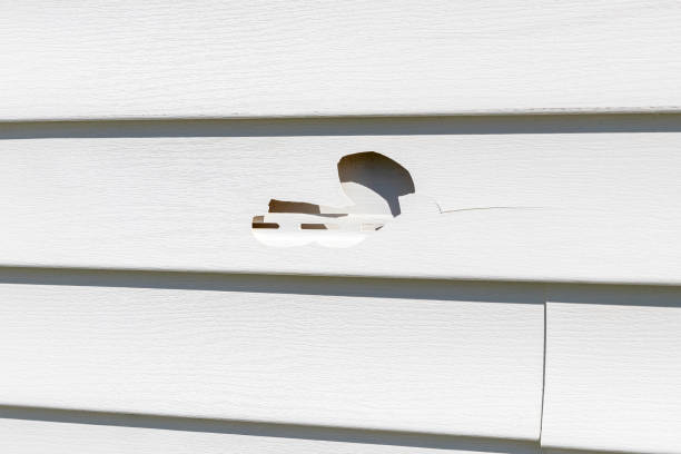 How To Choose The Right Materials for Your Siding Installation in 'Avon, MN